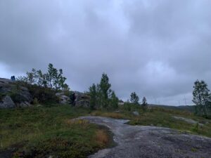 Bjørnfjell